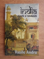 Vasile Andru - India vazuta si nevazuta