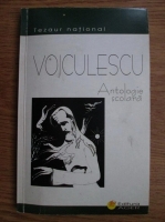 Vasile Voiculescu - Antologie scolara