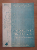 Victor Papilian - Anatomia omului, volumul 1. Aparatul locomotor