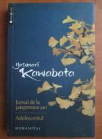 Yasunari Kawabata - Jurnal de la saisprezece ani. Adolescentul