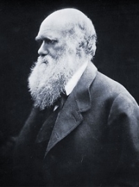 Charles Darwin - Originea speciilor