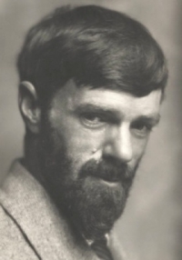 D. H. Lawrence - Fii si indragostitii