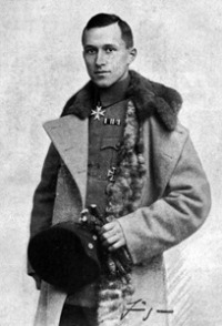 Ernst Junger - Albine de sticla