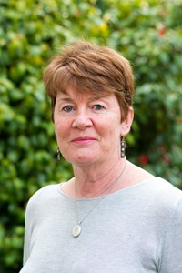 Fiona Barton - Vaduva