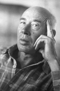 Henry Miller - Primavara neagra