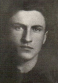 Carti Ion Gavrila Ogoranu