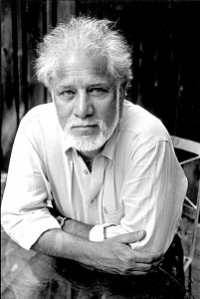 Michael Ondaatje - Divisadero