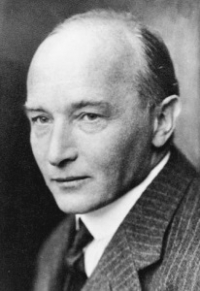 Robert Musil - Omul fara insusiri