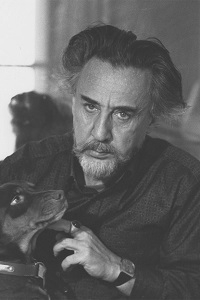 Romain Gary - Clar de femeie